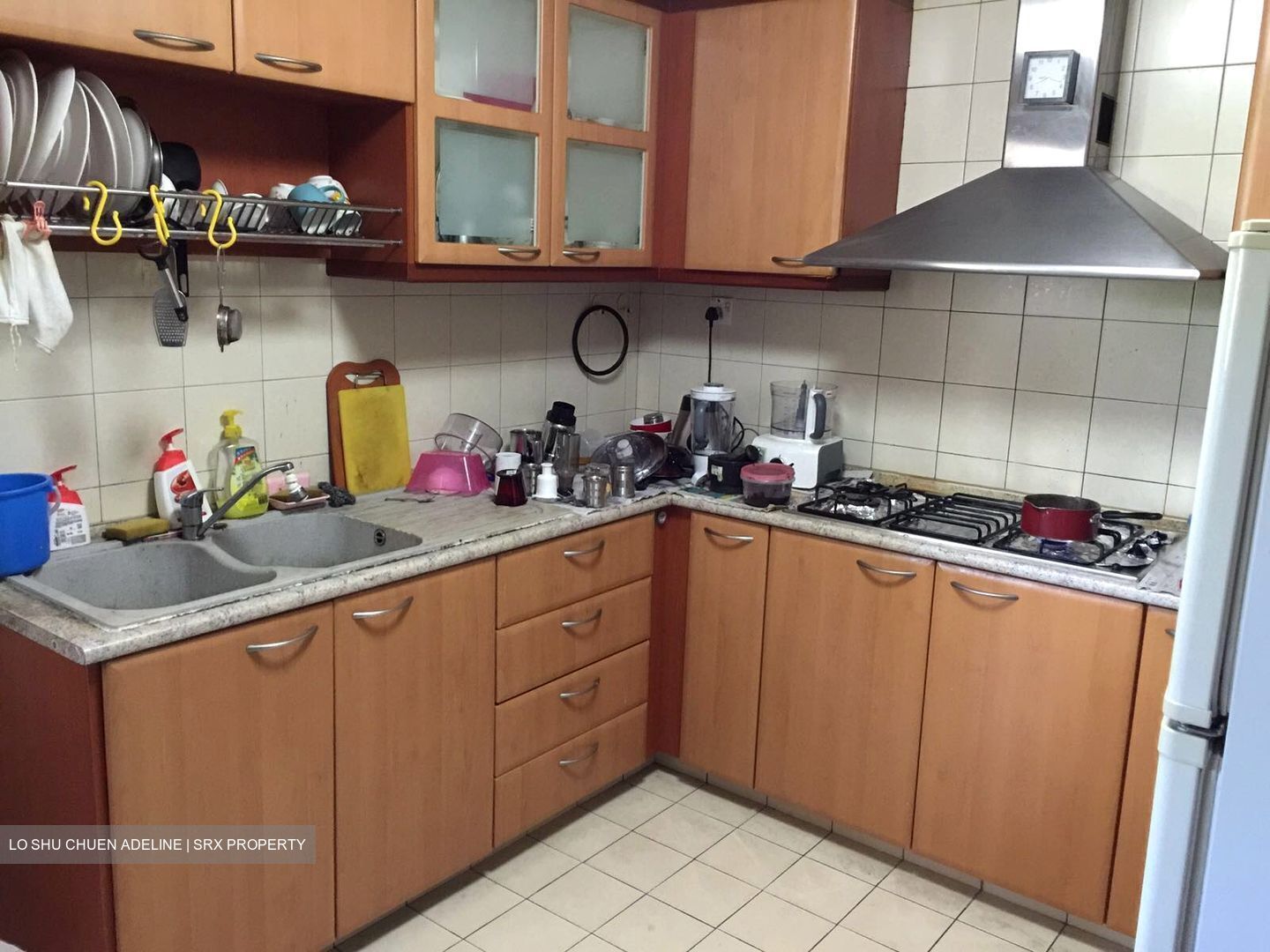 Carissa Park Condominium (D17), Condominium #499802131